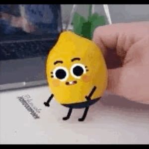 Meet your Posher, Luiza carolina